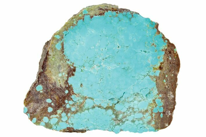 Polished Turquoise Slab - Number Mine, Carlin, NV #292311